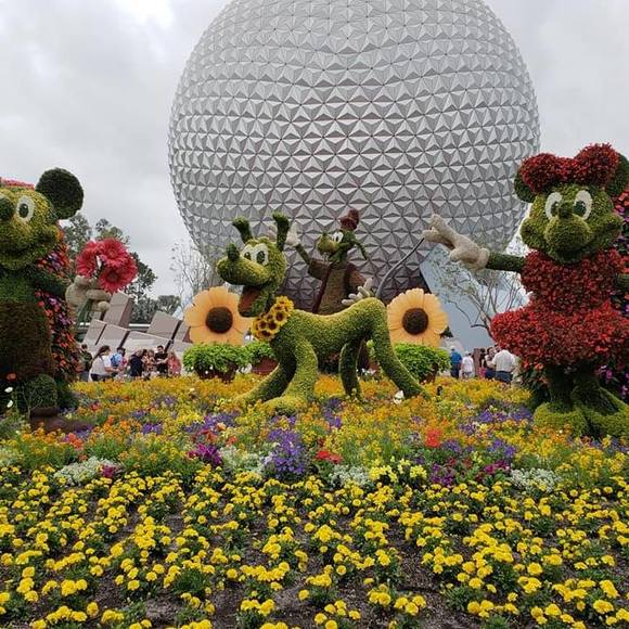 Meet your Posher, Kim - Picture 1 of 1